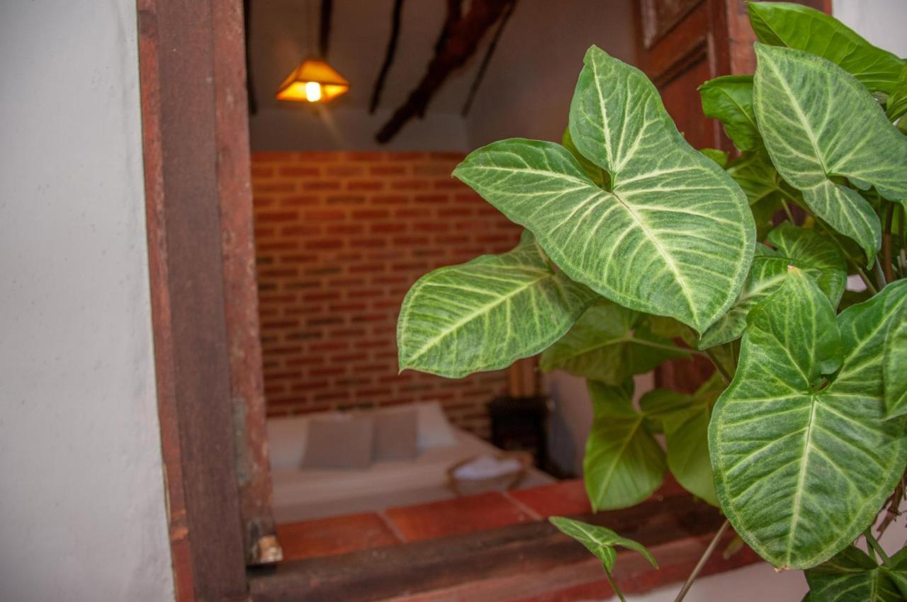 La Juanita Hostel 巴里查拉 外观 照片